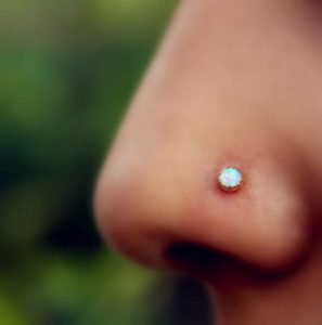 An image of a new nose ring